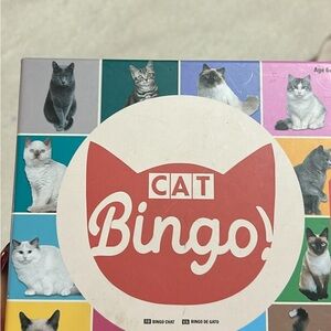 New cat cards and bingo